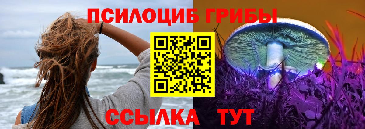 Псилоцибиновые грибы прущие грибы Муром
